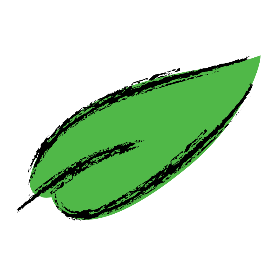 feuille verte du logo